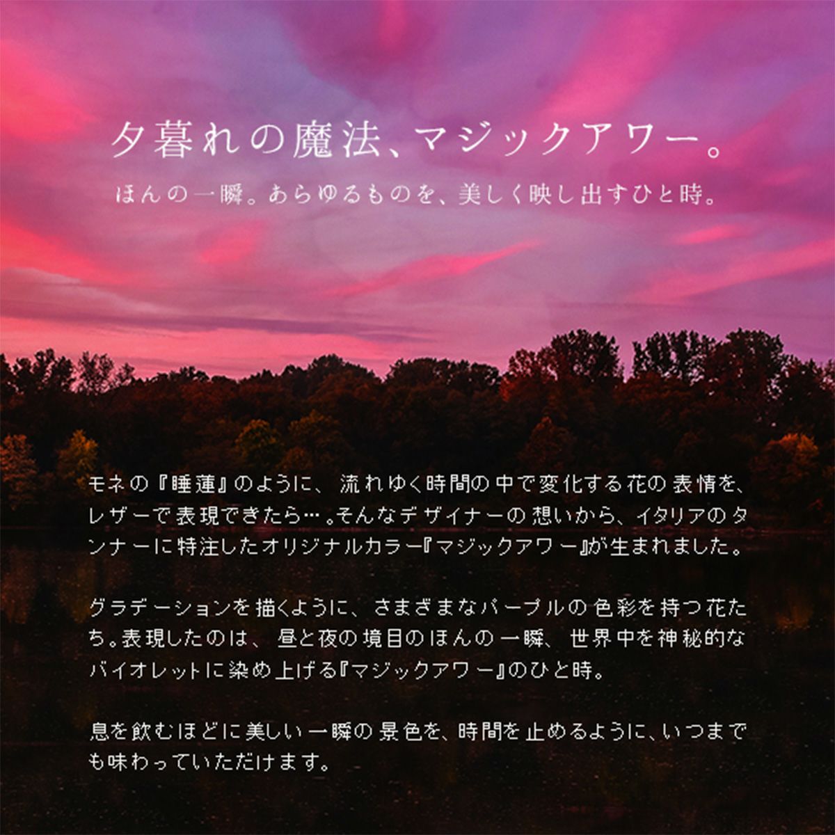 エルモアリス　マジックアワー